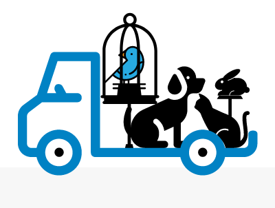 บริการรับส่งสัตว์เลี้ยง สัตว์